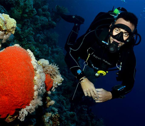 Reef Oasis Blue Bay: 10 Dives with 7 Nights All Inclusive 's photos